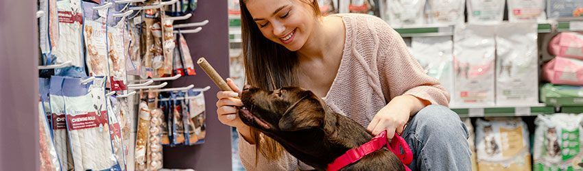 7 Passos para abrir uma Pet shop em Portugal
