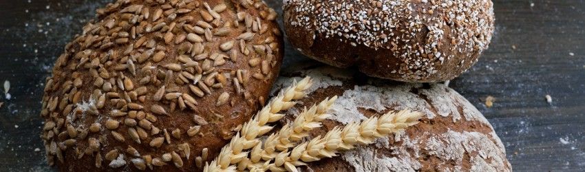 10 Fornecedores para Padarias em Portugal