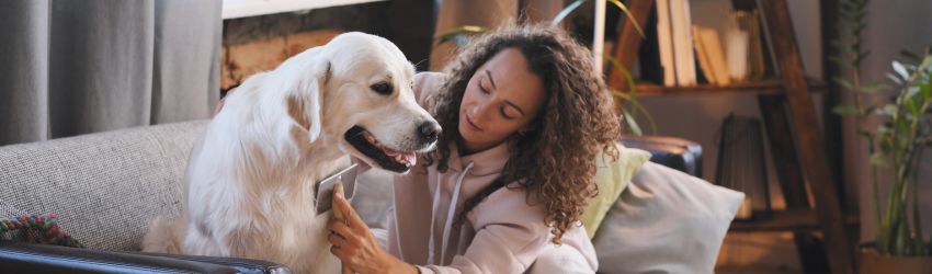 Como Abrir um Negócio de Petsitting: Um Guia Completo